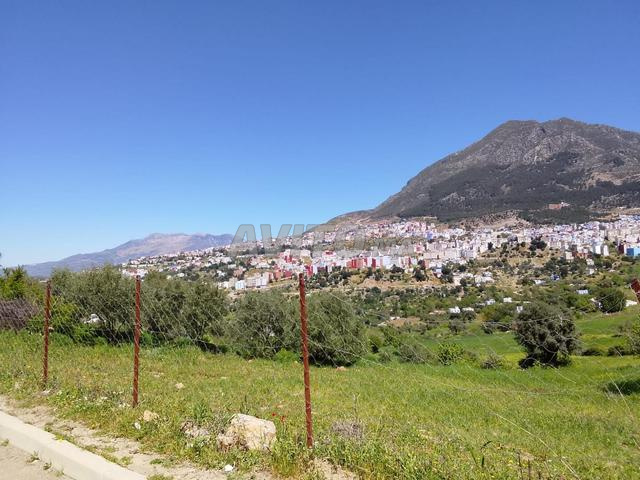 أرض للبيع شفشاون - 2