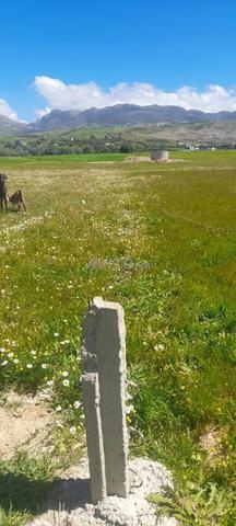 قطعة أرضية ملكية للبيع