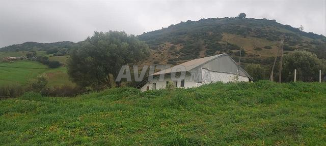 Maison communale adjacente avec terrain planté en pleine propriété au vieux marché