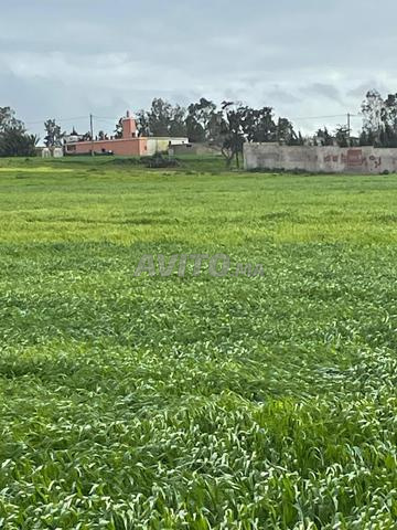 Terrain agricole agricole ferme