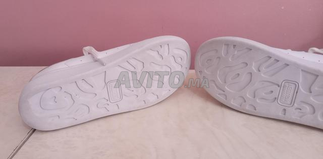 Alexandre M Queen - 2