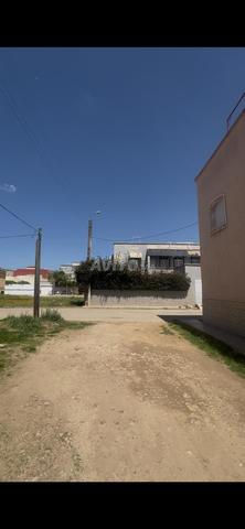 بقعة 126م في ياسمين 2 بجانب فيل - 2