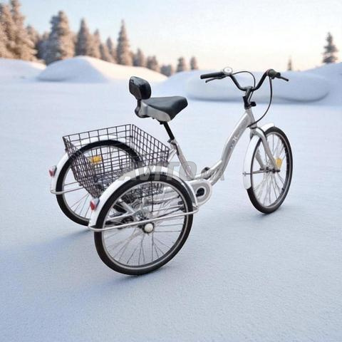 Vélos Tricycles - 2