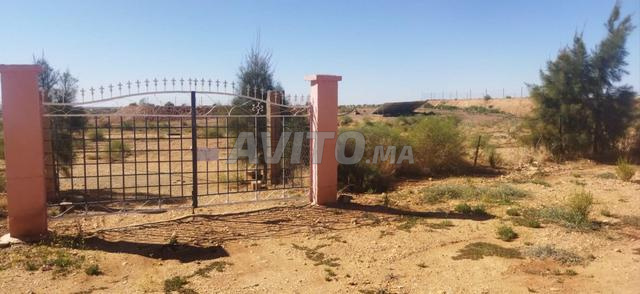 مزرعة للبيع - 2