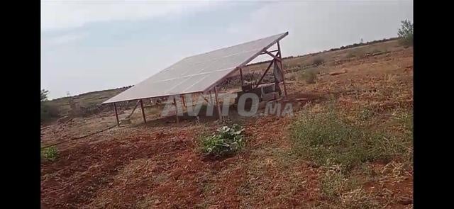 Terrain 2 hectares (petite ferme) propriété légale