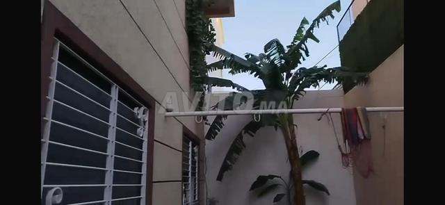 السكن والتجارة - 2