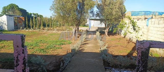 Maison à la campagne sans intermédiaire - 2