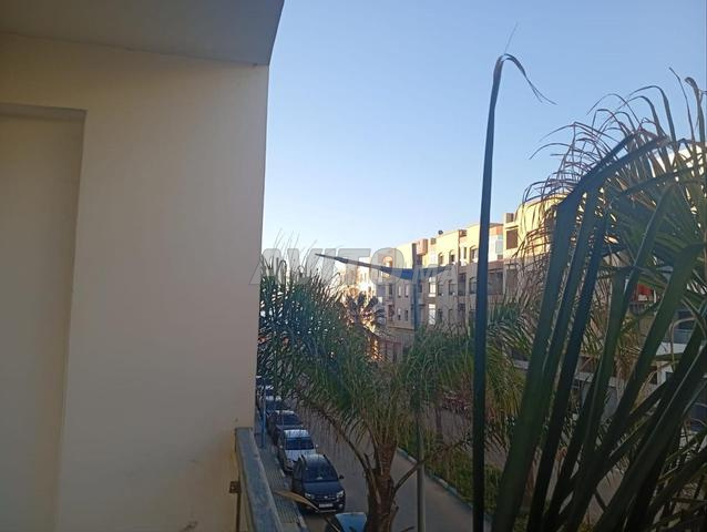 على بعد 100 متر من الشاطئ في المنصورية - 2