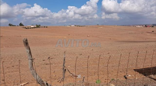 Terrain agricole Shoul - 2