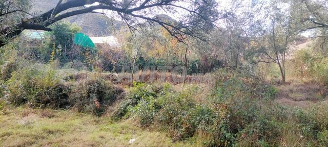 🏔️ أرض للبيع في أسغين أوريكا - 2