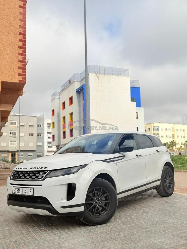 رونج ببفلر