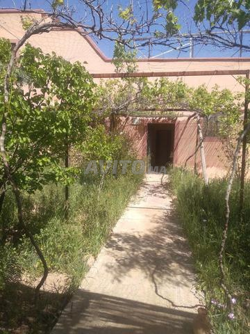 أرض 6 هكتار نواحي السويهلة