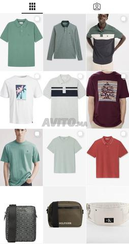 بولو سبرينغفيلد - 2