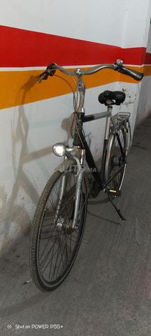 دراجة ألتر - 2