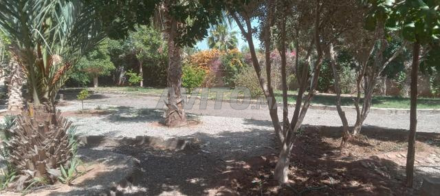 Terrain clôturé - 2