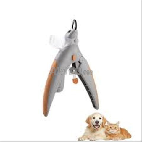 تليم تمارة خيام ٣ - 2