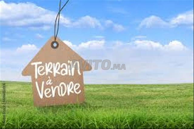 Vente et achat de terrain ou parcelle agricole Sidi Allal El Bahraoui