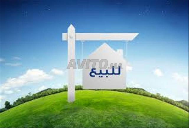 Achat et vente de terrain ou de terre agricole à Sidi Allal El Bahraoui