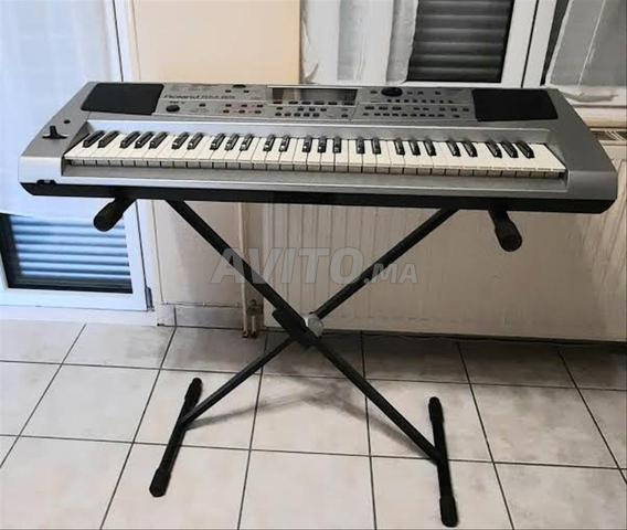 ORG ROLAND ME 55