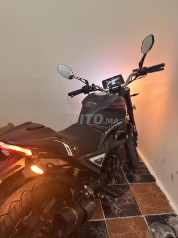 Cimatti monster 2026 0km - 2