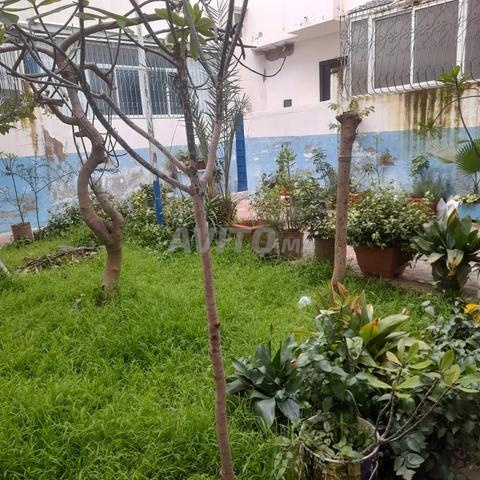 Un appartement à Martil - 2