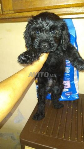 ثمن خيالي - 2