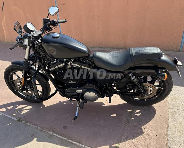 Harley Davidson 883 - 2