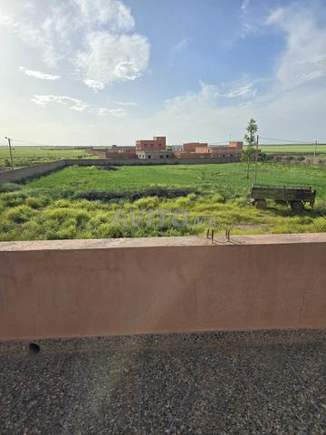 أرض للبيع المساحة 6000 متر نواحي مراكش