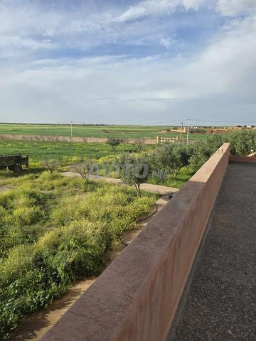 أرض للبيع المساحة 6000 متر نواحي مراكش - 2