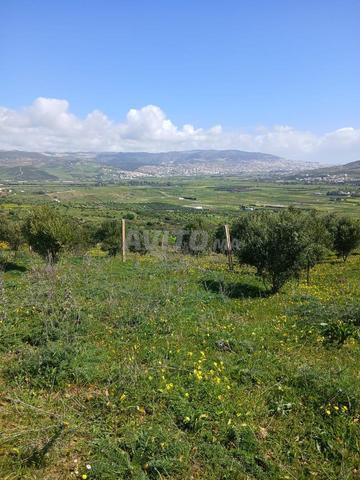 Annonce de vente de terrain - 2