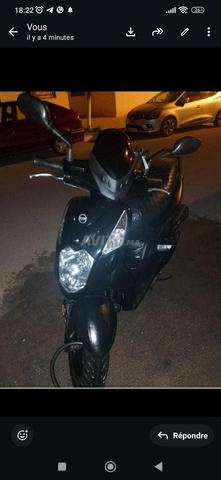 SYM ORBITE 49 cc - 2