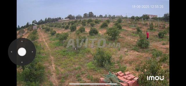 2 hectares titrés - 2