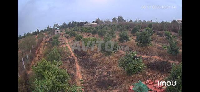 2 hectare titré - 2