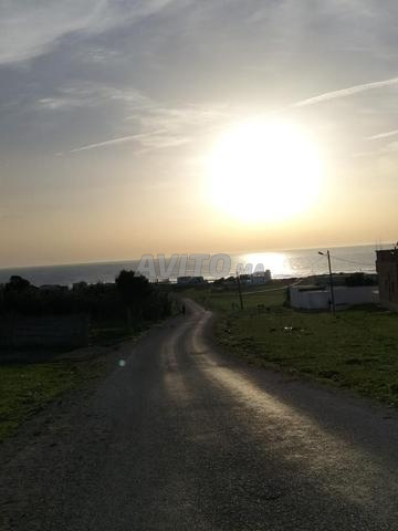 منزل عدلي للبيع بريش