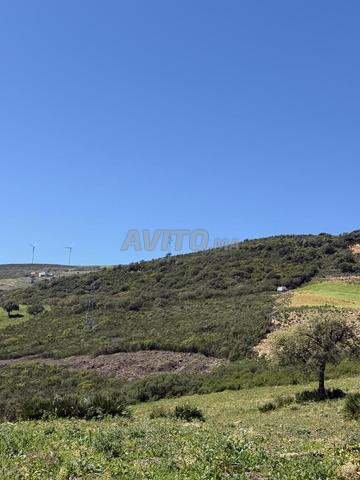 أرض فلاحية للبيع المكان ملوسة