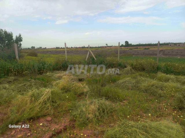 بقعة أرضية طريق تحناوت - 2