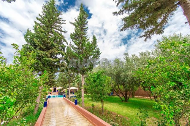 Villa location journalière route de Fès - 2