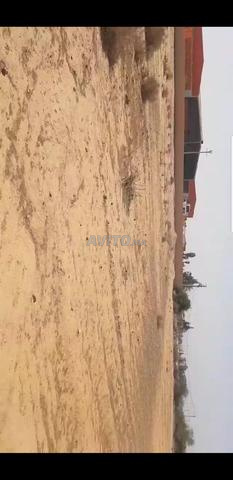 Terrain sur la route - 2