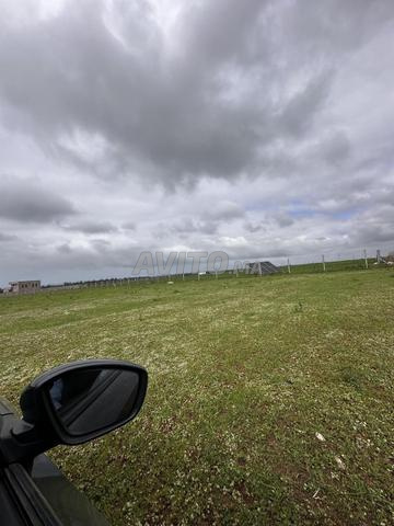 هكتار سيدي رحال تيتري بإطلالة بحرية - 2