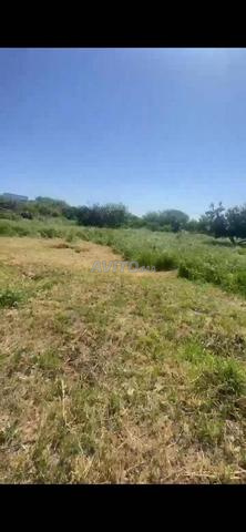 أرض سكنية للبيع بجوار بريستيجيا - 2