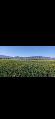 Terrain titré 5 hectares 150000 DH par hectare