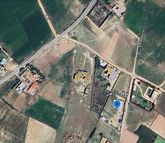 Terrain agricole à vendre à El Jadida - 2