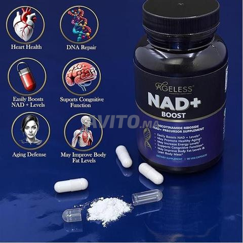 AGELESS NMN NAD 300mg - 2