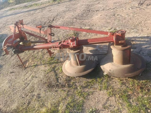 Bonjour, j'ai des Fuzuz d'Italie - 2