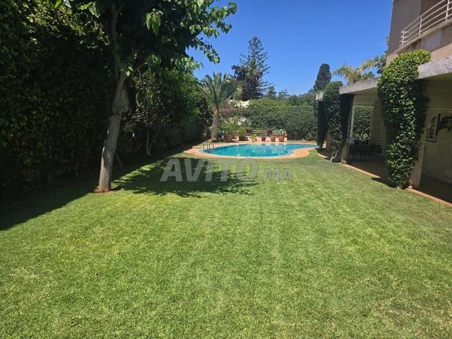 استثمار أرض استخدام تجاري بولو