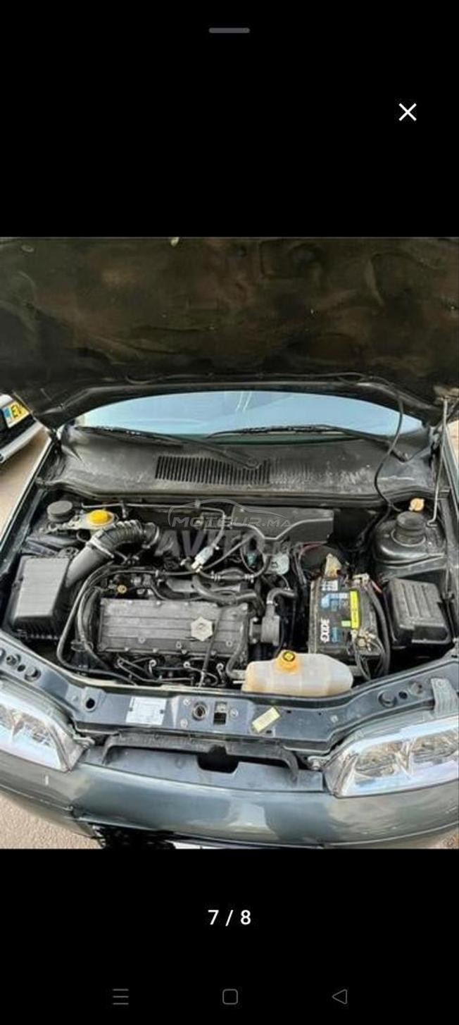 fiat palio