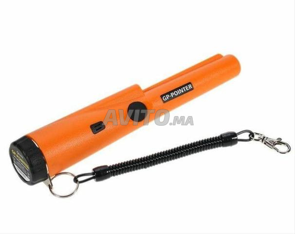 جهاز كاشف المعادن - 2