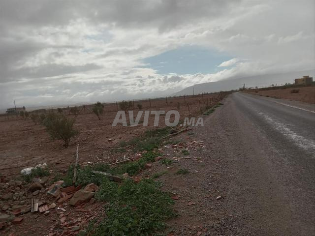 أرض فلاحية مساحة أرض 4000 متر - 2