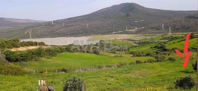 Terrain au naturel 2500m2 - 2