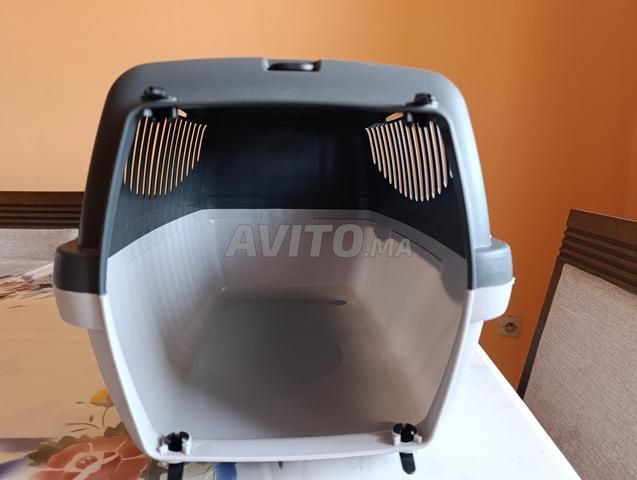 صندوق نقل للقطط - 2